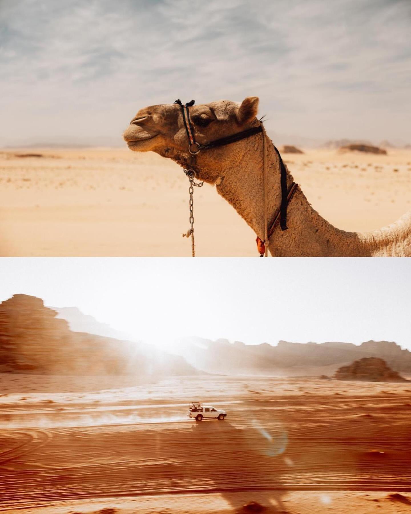 Rum Luxury Camp Wadi Rum Exterior foto